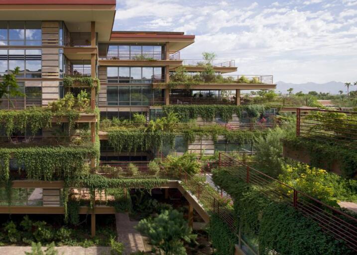精心设计的室外绿色空间将在后联合住宅建设中继续流行