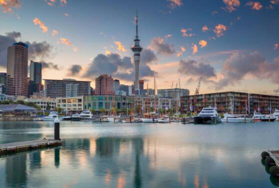 房地产热潮新西兰城市的100万美元郊区是大流行前的两倍