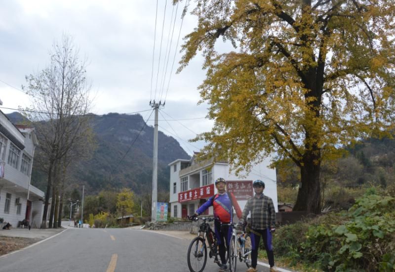 石芽岭学校_石芽岭图片_石芽岭布吉图书馆可以写作业吗