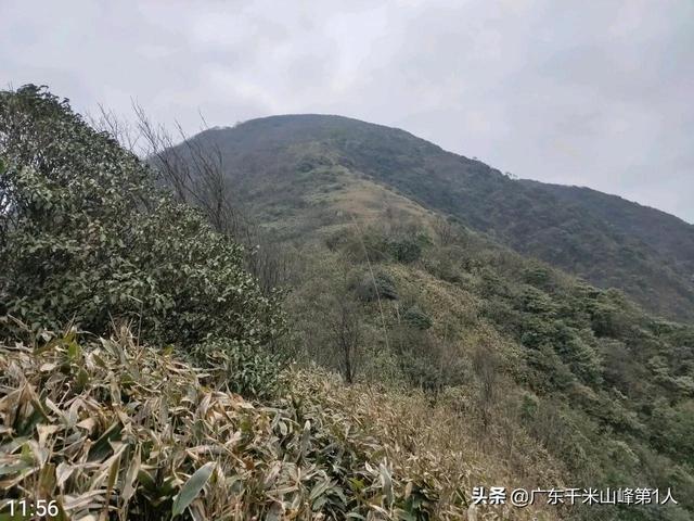 石芽岭布吉图书馆可以写作业吗_石芽岭图片_石芽岭学校