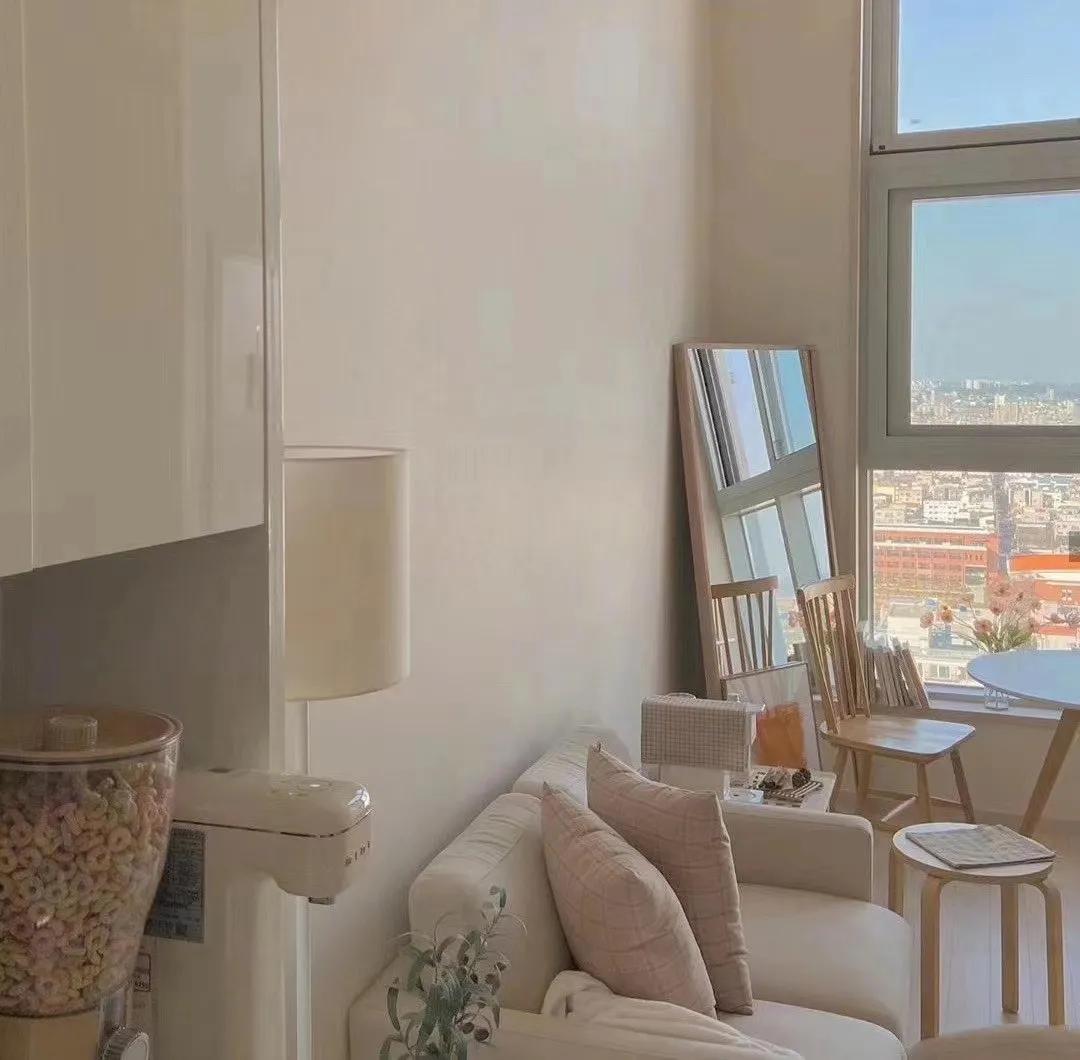 即将2022年了,你对公寓怎么看