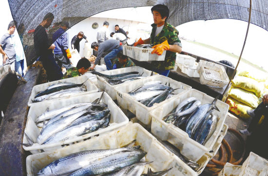 海域阳光宣传_海口海域阳光怎么样_神秘海域4宣传cg