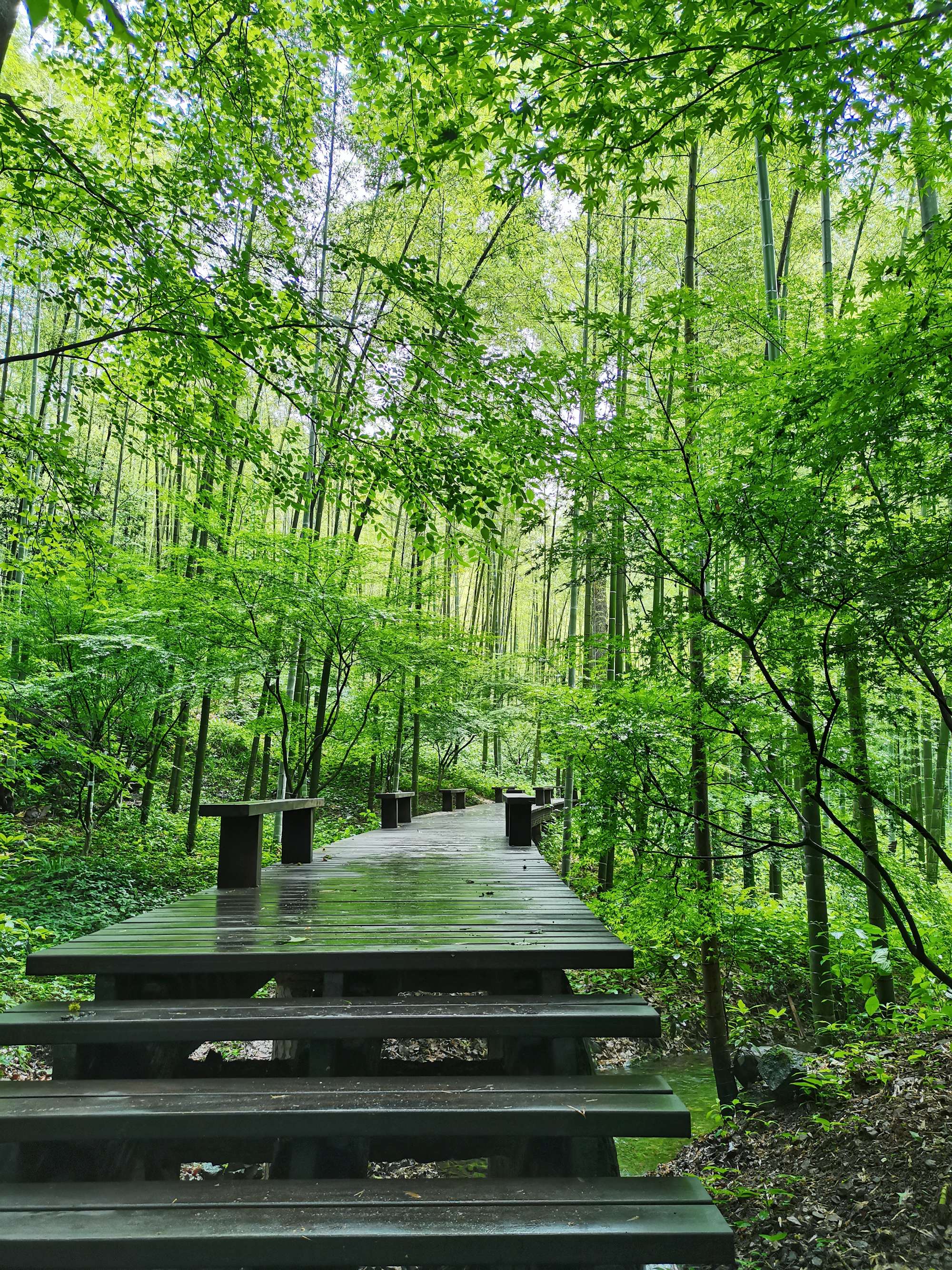 杭州景溪北苑最进照片_杭州市景溪北苑_杭州景溪北苑施工进度