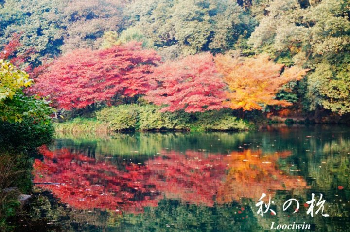 杭州景溪北苑施工进度_杭州景溪北苑最进照片_杭州市景溪北苑