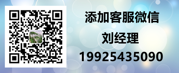 深圳沙井小产权房网_深圳沙井个人丝足会网_长沙井岗小学官网