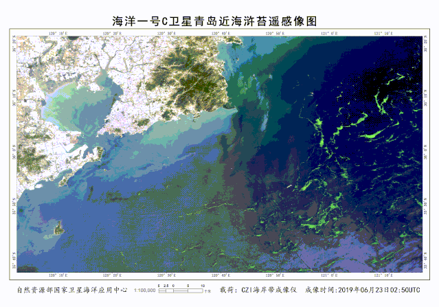 思客用卫星视角揭秘黄海海域浒苔灾害规模已创历史最大值