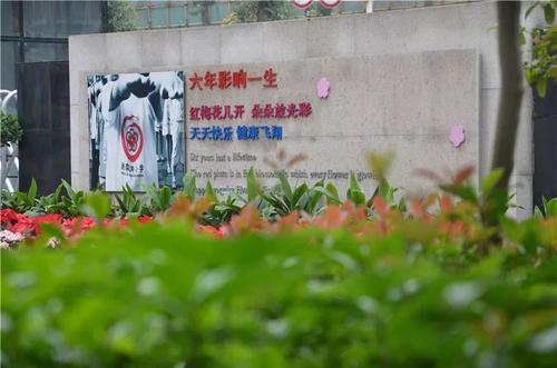 重庆九大区有哪些学位紧张的学校？各区相应的就读条件是什么？