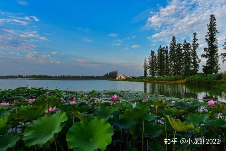 杭州阳光城翡丽湾拿地价_阳光翡丽湾 别墅_太原阳光翡丽湾二期