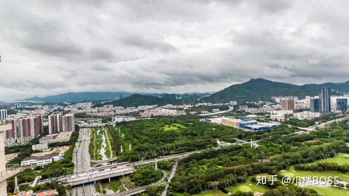 莱蒙水榭山 深圳_深圳水榭山 开盘价_深圳水榭山别墅地址