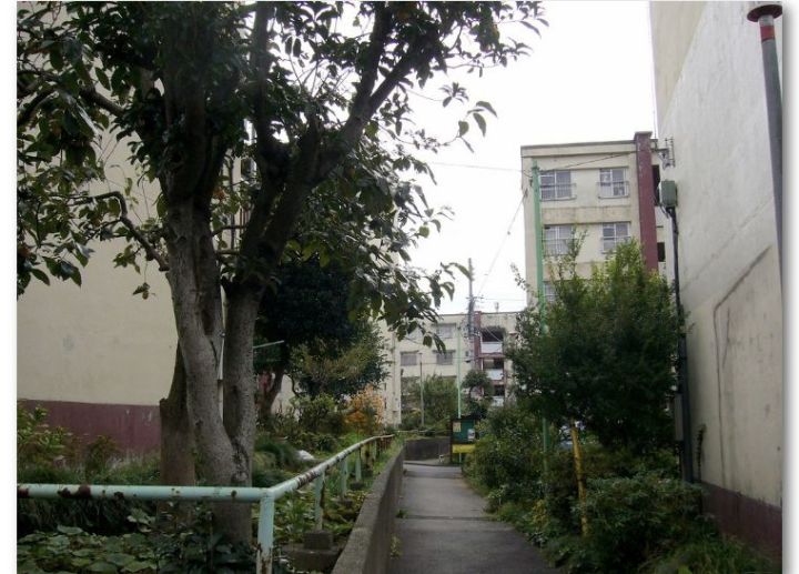 南京市霞栖区马群街附近租房价格_泉州霞淮街_霞公府街