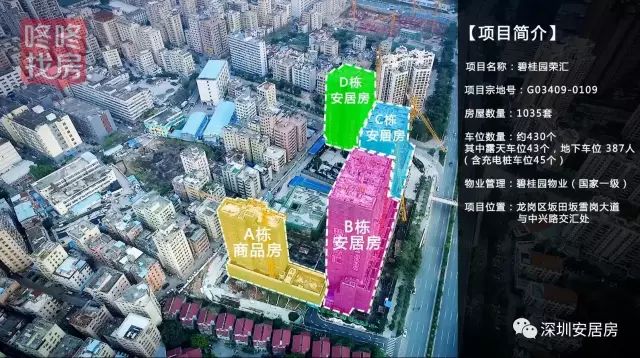 鼎正大都城户型图_正大安居房户型图_西乡安居家园户型图