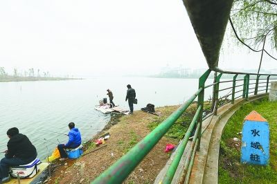 北太子湖畔的晋天居贤院小区，铁栏杆把水域界桩圈进小区，钓友们只能混进小区翻越栏杆到湖边钓鱼。 