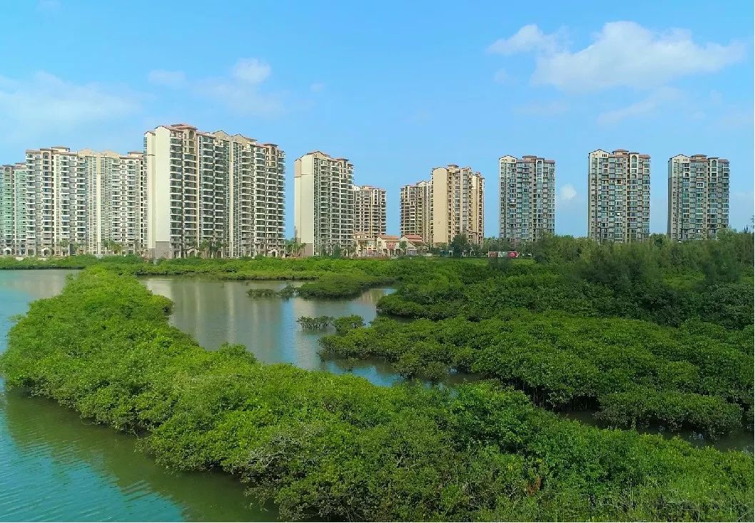 海南富力湾y8区销售_海南富力湾万豪_海南富力红树湾样板房