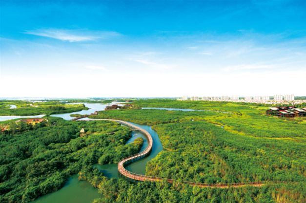 海南富力红树湾样板房_海南富力湾y8区销售_海南富力湾万豪