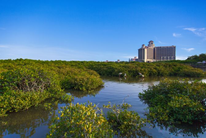 海南富力湾y8区销售_海南富力红树湾样板房_海南富力湾万豪