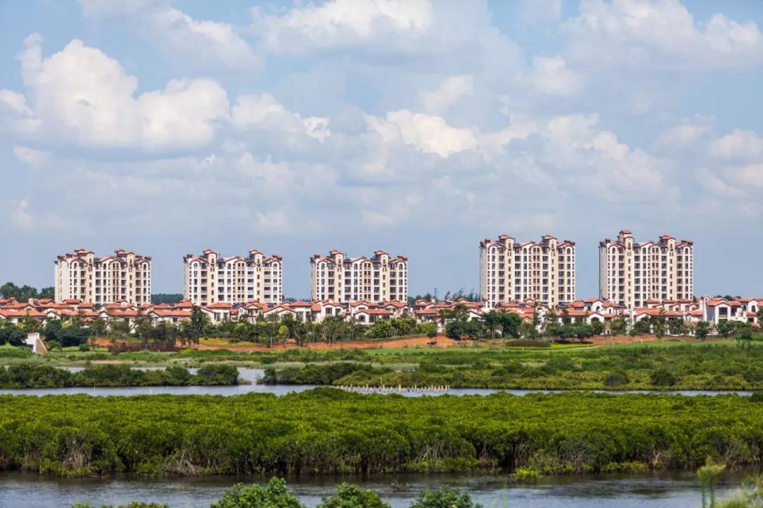 海南富力湾y8区销售_海南富力红树湾样板房_海南富力湾万豪