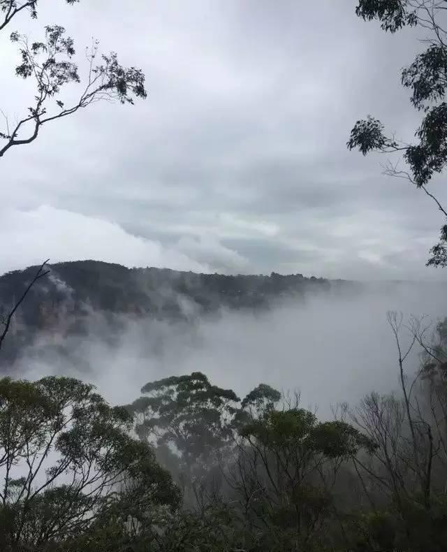 从墨尔本到悉尼自驾路线_悉尼到蓝山自驾_从悉尼到蓝山