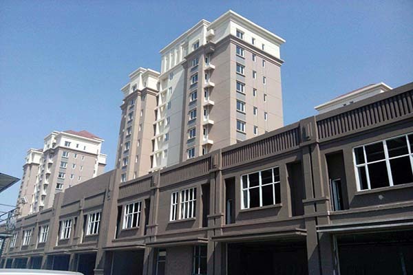 政府保障性住房是什么意思