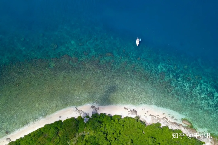 海南兴隆有什么好玩的_海南兴隆老榕树酒店开发时间_海南兴隆侨乡国家森林公园