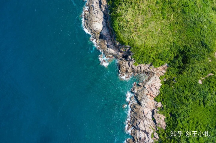 海南兴隆侨乡国家森林公园_海南兴隆有什么好玩的_海南兴隆老榕树酒店开发时间