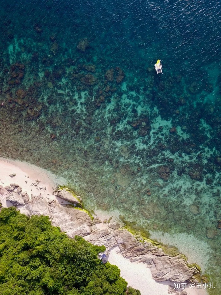 海南兴隆有什么好玩的_海南兴隆侨乡国家森林公园_海南兴隆老榕树酒店开发时间