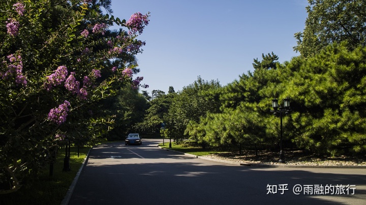 安阳华强建国标间_华强建国酒店_安阳华强建国酒店餐厅