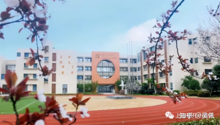 合肥政务区公办幼儿园_花桥绿地21城a区_花桥外包区公办小学