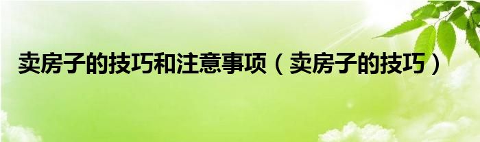 卖房子的注意事项_卖房需要注意哪些问题_淘宝电脑卖家应该注意哪些事项