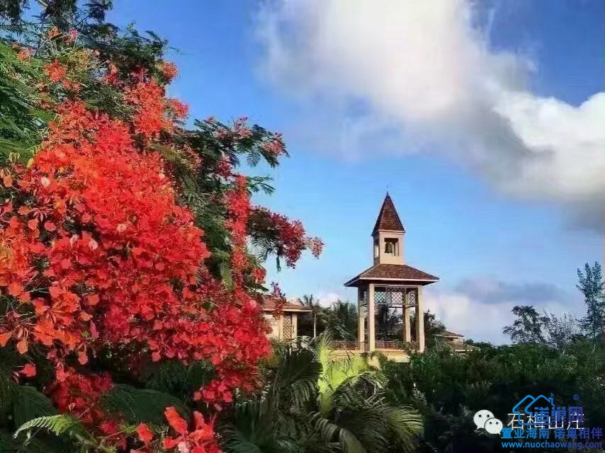 海南 兴隆 买房