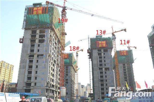 孟达中央帝景占地面积78000金顶在建11栋楼全线封顶(图)