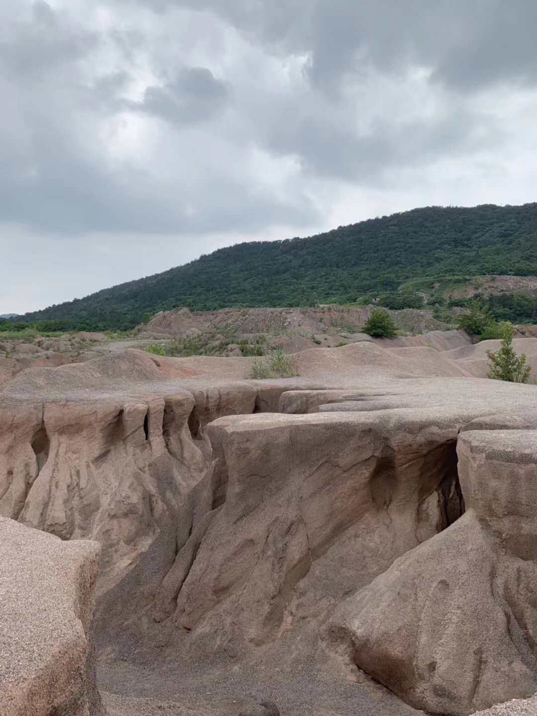 征地拆迁违法_征地与拆迁_拆迁征地