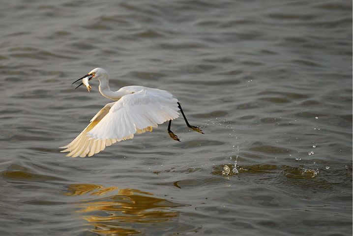 深圳红树湾好玩吗_巽寮湾红树湾畔度假公寓预订_巽寮湾红树湾畔度假公寓预订电话