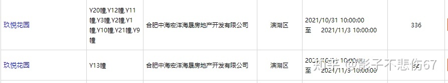 合肥滨湖新开盘楼盘_合肥即将开盘的新楼盘_合肥即将开盘的楼盘